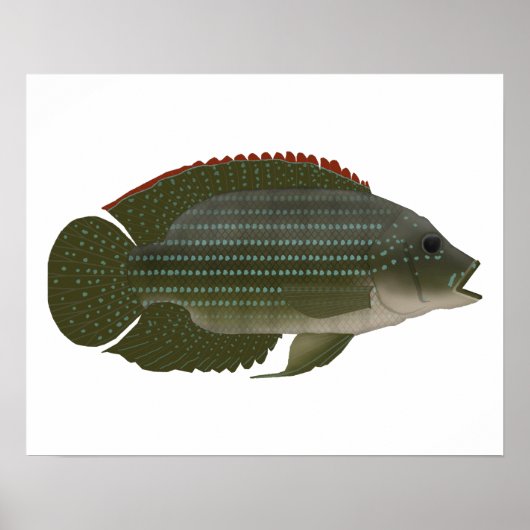 Jack Dempsey Poster (Voorkant)