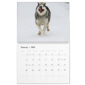 Jack en Jill Kalender (Feb 2026)