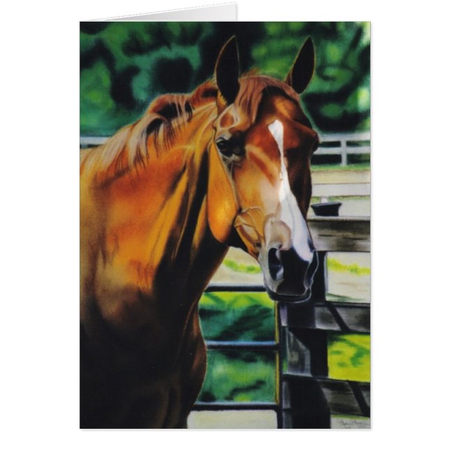 "Jack" equine card (Voorkant)