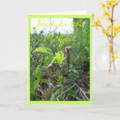 JACK IN DE PREEKSTOEL II KAART (Gele Bloem)