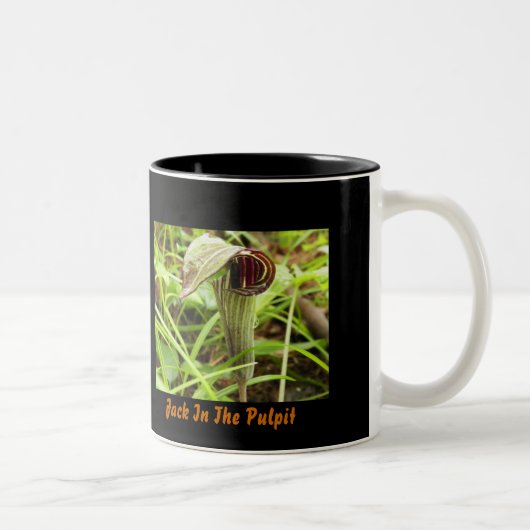 Jack in de Pulpit Tweekleurige Koffiemok (Rechts)