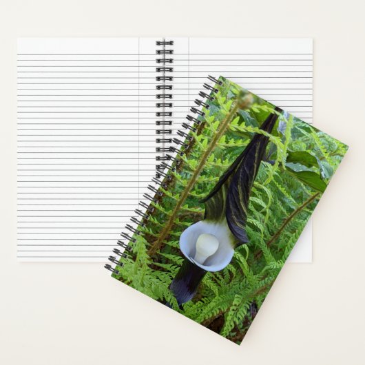Jack-in-the-Pulpit Bosplant Notitieboek (Binnen)