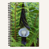 Jack-in-the-Pulpit Bosplant Notitieboek (Voorkant)