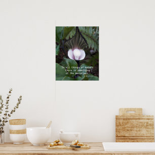 Jack-in-the-Pulpit Plant Aristoteles Natuur Citaat Poster