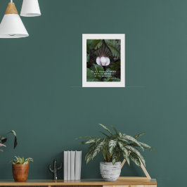 Jack-in-the-Pulpit Plant Aristoteles Natuur Citaat Poster
