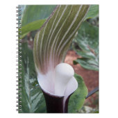 Jack-in-the-Pulpit Plant Bloem Notitieboek (Voorkant)