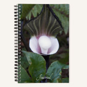 Jack-in-the-Pulpit Plant Botanisch Notitieboek (Voorkant)