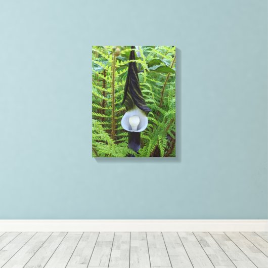 Jack-in-the-Pulpit Woodland Plant Floral Canvas Afdruk (Insitu (Houten vloer))