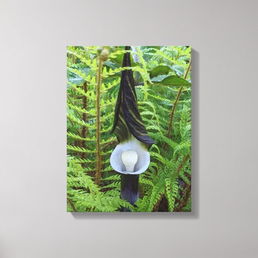 Jack-in-the-Pulpit Woodland Plant Floral Canvas Afdruk (Voorkant)