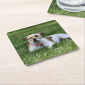 Jack Kartonnen Onderzetters (Schuin)