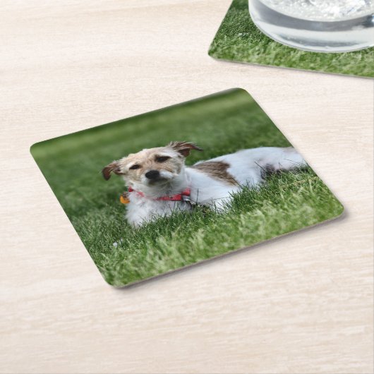 Jack Kartonnen Onderzetters (Schuin)