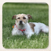 Jack Kartonnen Onderzetters (Voorkant)