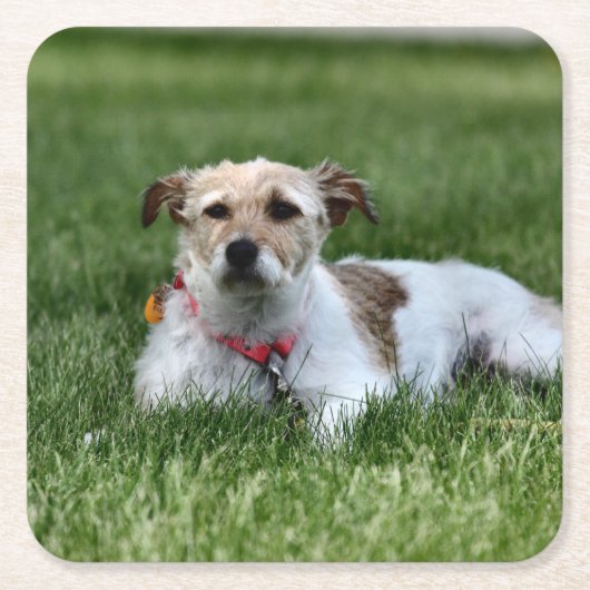 Jack Kartonnen Onderzetters (Voorkant)