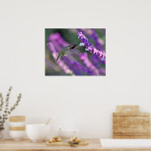 Jack London Male Anna's Hummingbird Print (Keuken)