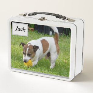 Jack naam met Fox Terrier,