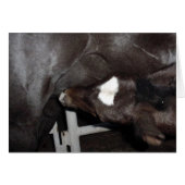 Jack Nusing (Voorkant Horizontaal)