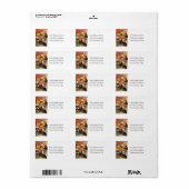 Jack O lantaarn hoofden met zwarte katten adreslab Etiket (Full Sheet)