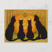Jack O lantaarn pompoen zwart kat Briefkaart (Voorkant)