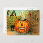 Jack O lantaarn pompoen zwarte kat spinnenweb Briefkaart (Voorkant / Achterkant)