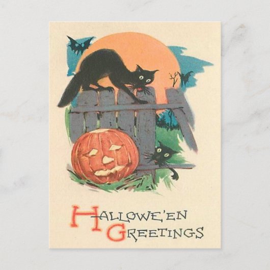 Jack O' Lantern Black Cat Bat Full Moon Briefkaart (Voorkant)