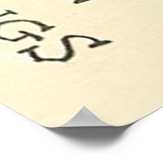 Jack O' Lantern Black Cat Bat Full Moon Poster (Hoek)