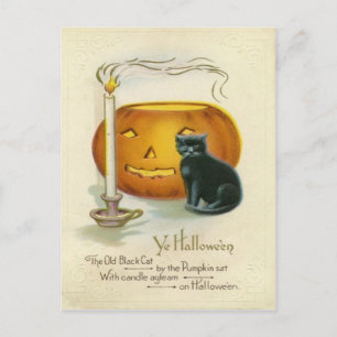 Jack O Lantern Black Cat Candle Briefkaart