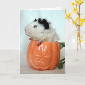 Jack-O-Lantern Guinea Pig Kaart (Gele Bloem)
