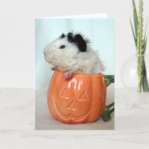 Jack-O-Lantern Guinea Pig Kaart