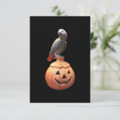 Jack-O-Lantern Halloween African Grey Parrot Kaart (Staand voorkant)