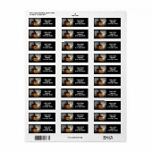 Jack-O-Lantern Halloween Etiket (Full Sheet)