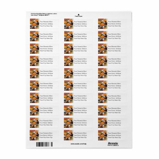 Jack O Lantern Head Black Cats  Halloween Etiket (Full Sheet)