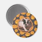 Jack O Lantern Patroonpompoenen met foto van Pet Magneet (Voorkant / Achterkant)