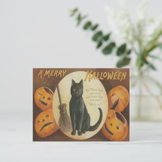 Jack O' Lantern Pompoen Zwarte Kat Bezem Briefkaart (Staand voorkant)