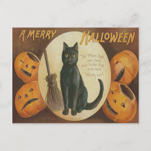 Jack O' Lantern Pompoen Zwarte Kat Bezem Briefkaart
