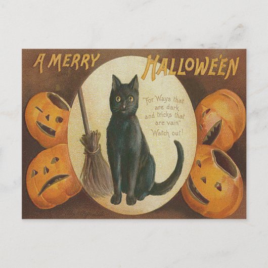 Jack O' Lantern Pompoen Zwarte Kat Bezem Briefkaart (Voorkant)