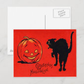 Jack O Lantern Pompoen Zwarte Kat Briefkaart (Voorkant / Achterkant)