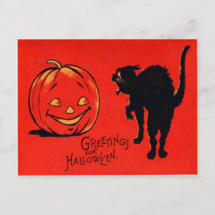 Jack O Lantern Pompoen Zwarte Kat Briefkaart