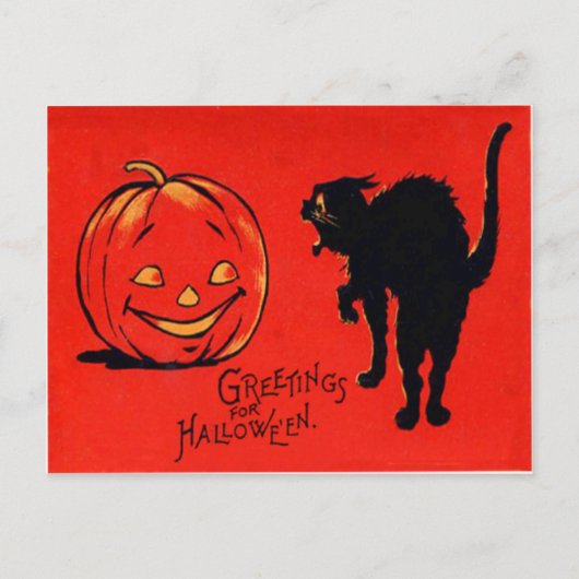 Jack O Lantern Pompoen Zwarte Kat Briefkaart (Voorkant)