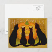 Jack O Lantern Pompoen Zwarte Kat Briefkaart (Voorkant / Achterkant)