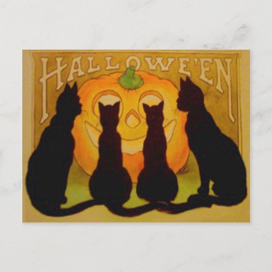Jack O Lantern Pompoen Zwarte Kat Briefkaart (Voorkant)