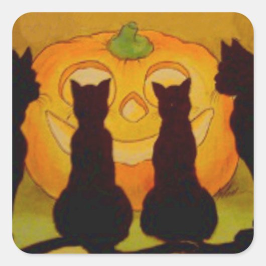Jack O Lantern Pompoen Zwarte Kat Vierkante Sticker (Voorkant)