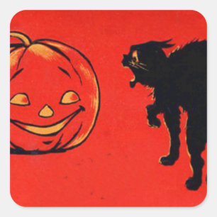 Jack O Lantern Pompoen Zwarte Kat Vierkante Sticker