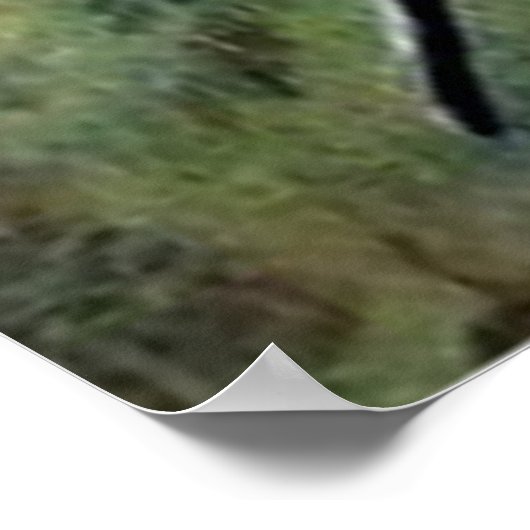 Jack O' Lantern Pumpkin Skeleton begraafplaats Poster (Hoek)