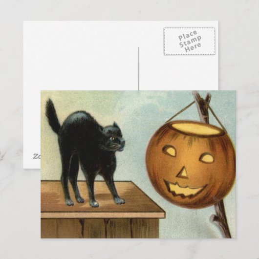 Jack O' Lantern Zwarte Kat Pompoen Briefkaart (Voorkant / Achterkant)
