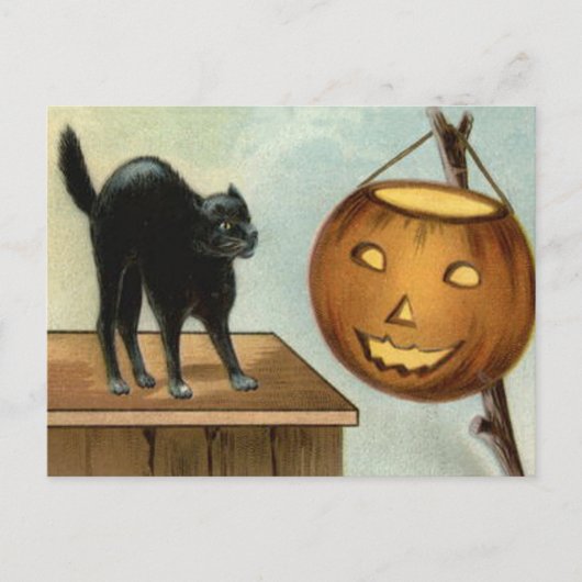 Jack O' Lantern Zwarte Kat Pompoen Briefkaart (Voorkant)