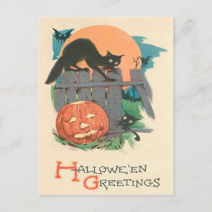 Jack O' Lantern Zwarte Kat Vleermuis Volle Maan Briefkaart