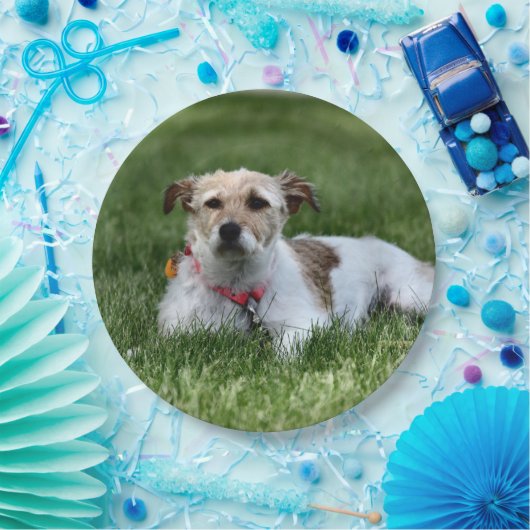 Jack Papieren Bordje (Feest)