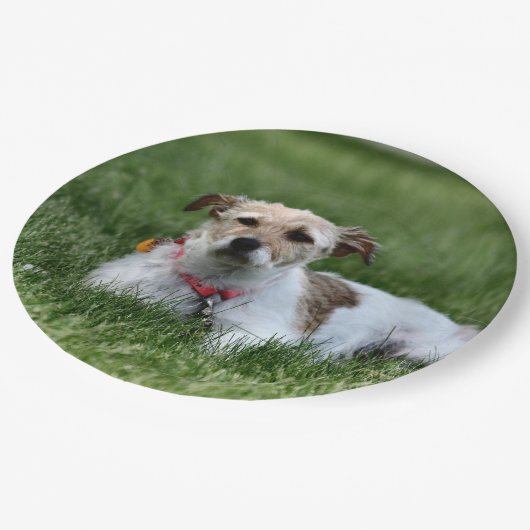 Jack Papieren Bordje (Gekanteld)