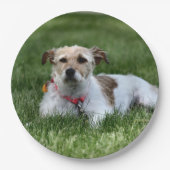 Jack Papieren Bordje (Voorkant)