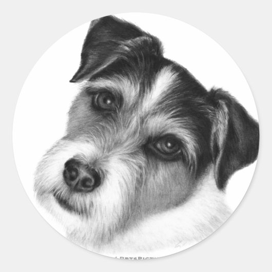 Jack (Parson) Russell Terrier Ronde Sticker (Voorkant)